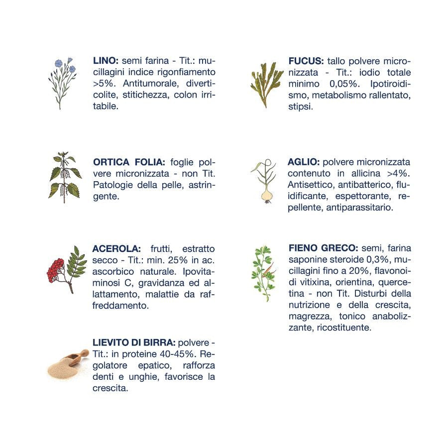 Vet Line Accrescimento LD Agnello 3 Kg - Monoproteico Cane Vet Line Accrescimento LD Agnello 3 Kg - Monoproteico Cane